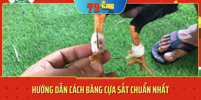 Hướng dẫn cách băng